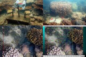  پاورپوینت زمین شناسی مهندسی کانی شناسی در 222 اسلاید کاملا قابل ویرایش همراه با شکل و تصاویر و فلوچارت 